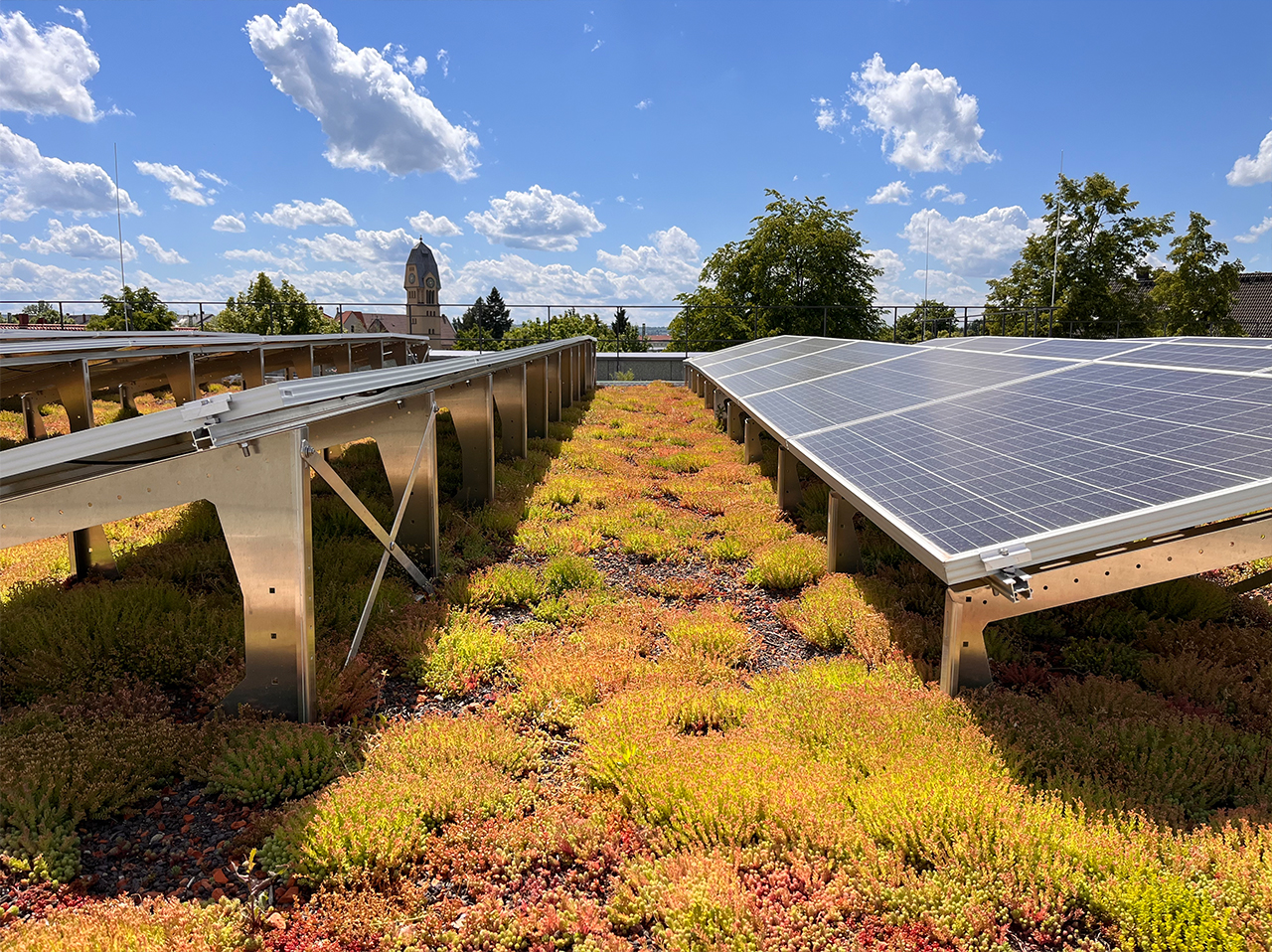Kinderinsel Dachbegrünung mit Solar