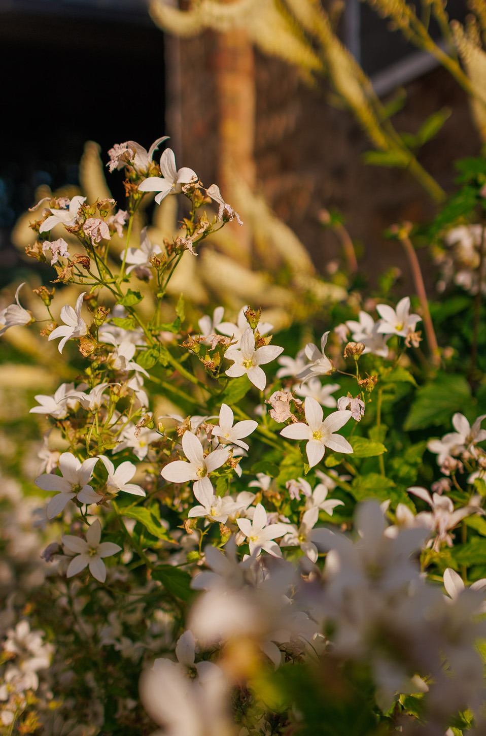 SachsenEnergie Begrünung Tiefgarage