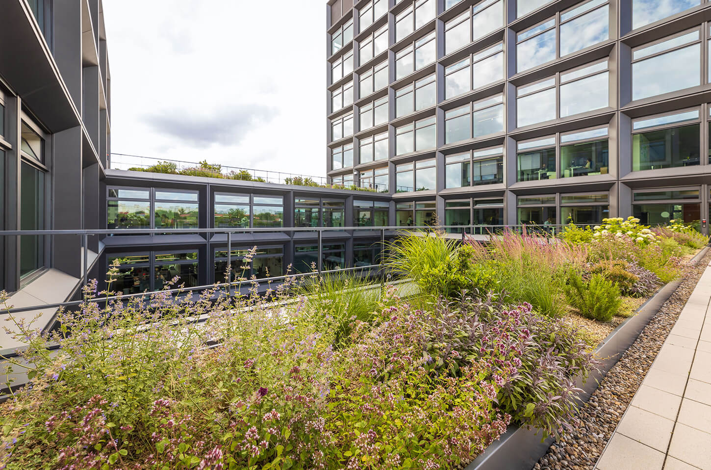 SachsenEnergie AG - Dachterrassen