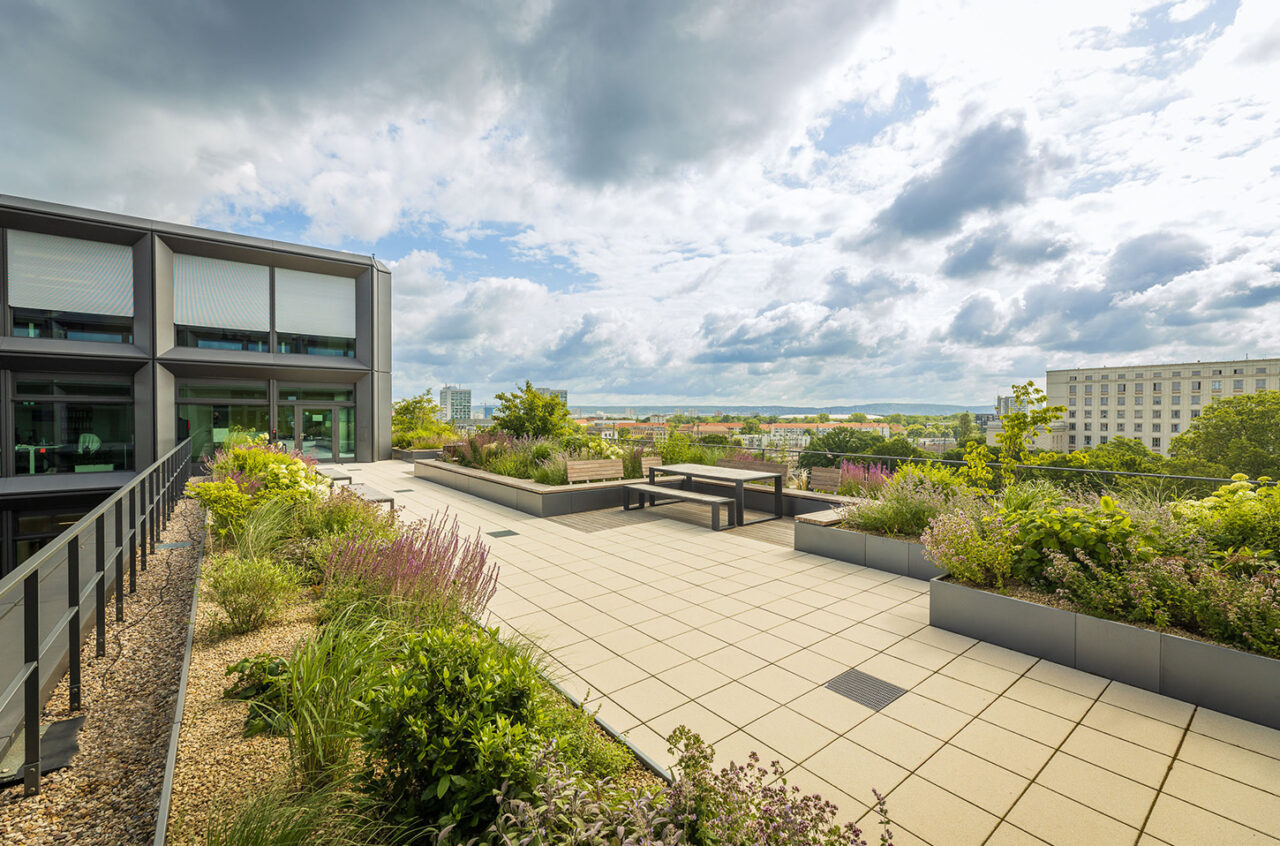 SachsenEnergie AG - Dachterrassen