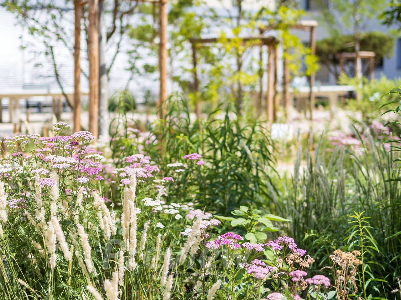 DIS - Dresden International School - Blaurock Landschaftsarchitektur