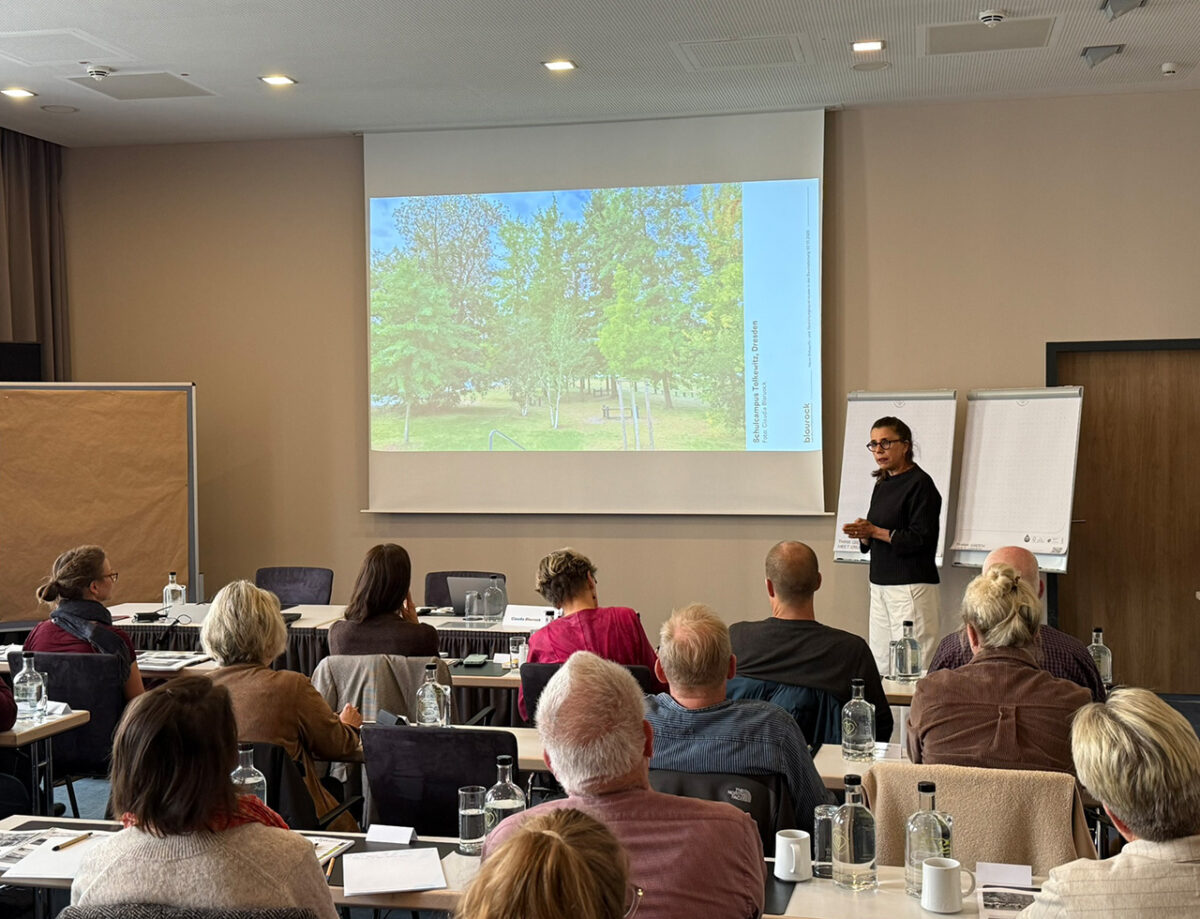 Fortbildung „Stadtbauarten im Klimawandel“ – nachhaltige Planung, Baumschutz und resiliente Stadtbäume VHW