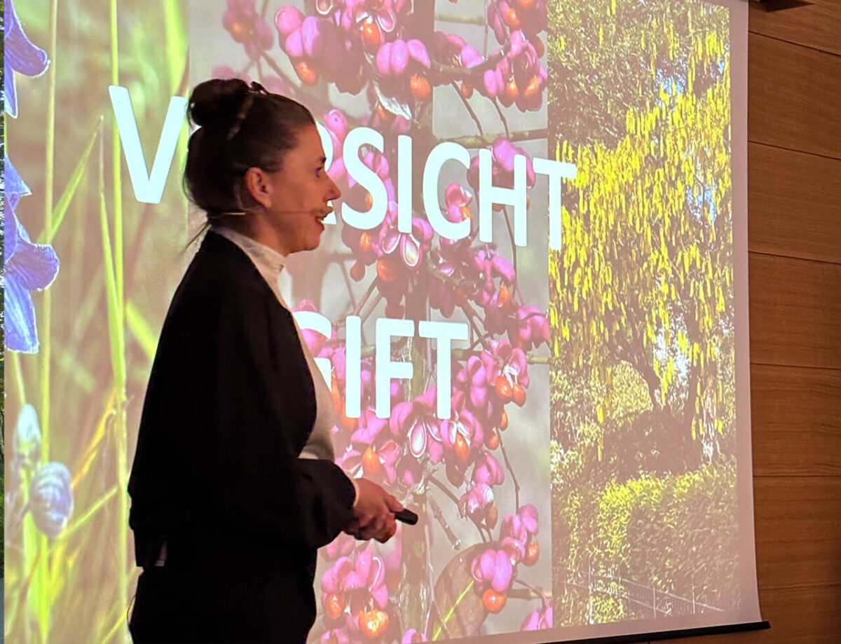 FLL Seminar Sichere Spielplätze Vortrag Claudia Blaurock