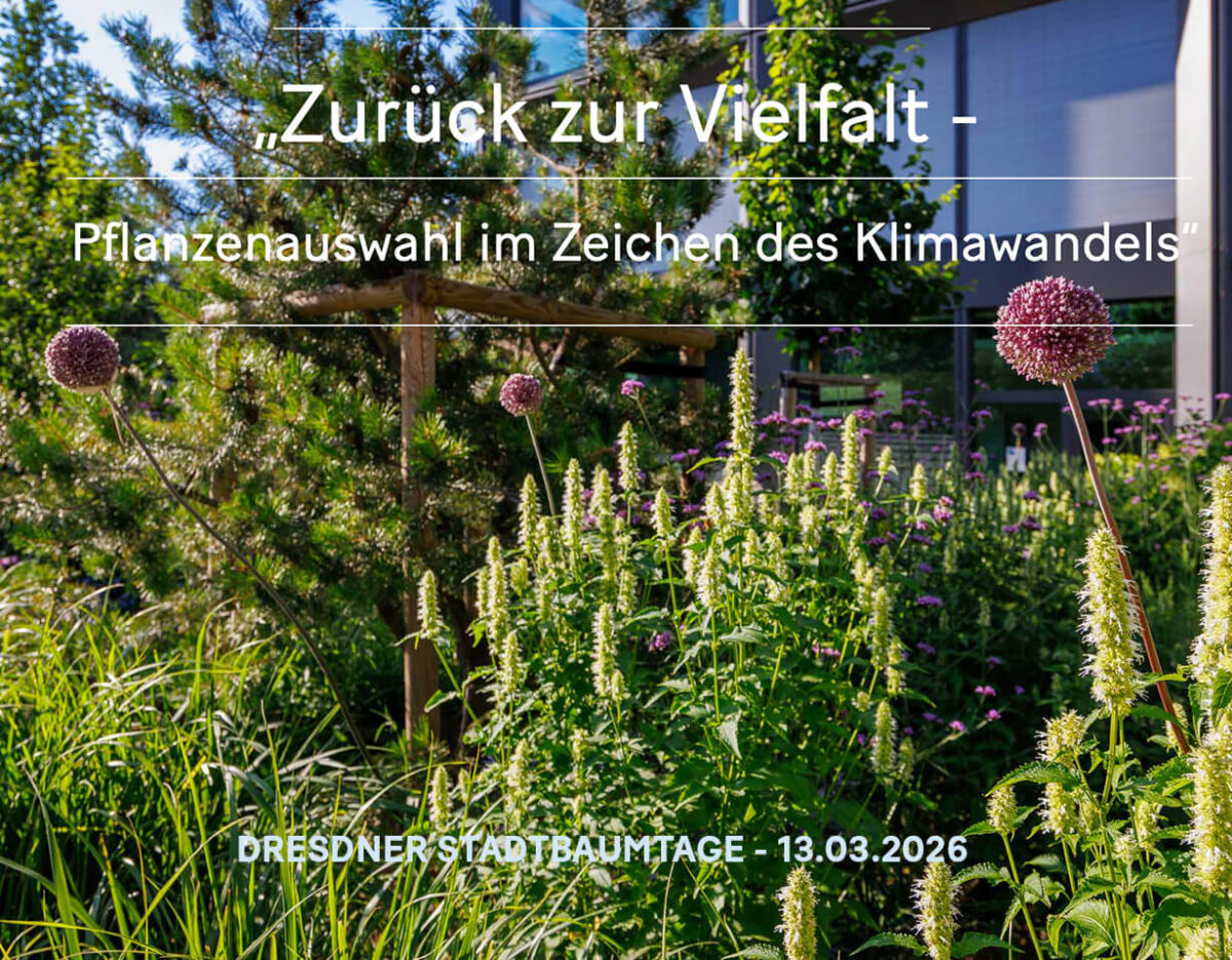 Dresdner Stadtbaumtage 2026